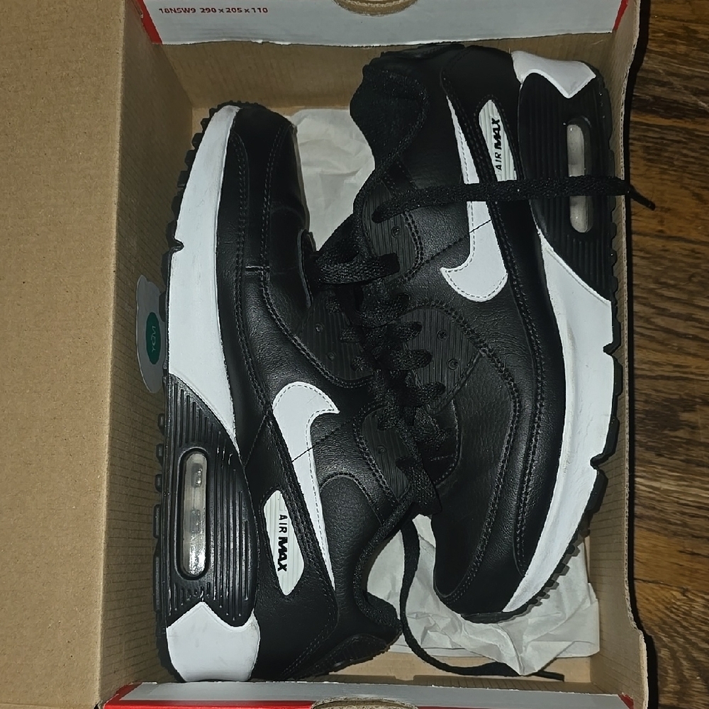 Nike Air Max Black and White Shoes